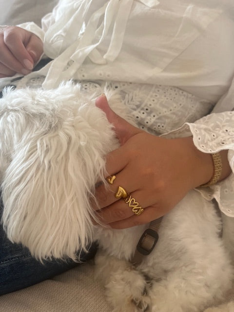 HAVANA Ring (justerbar)