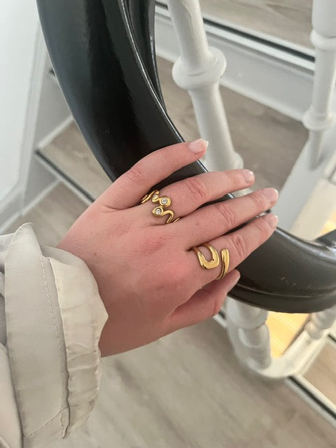 AMUSE Ring